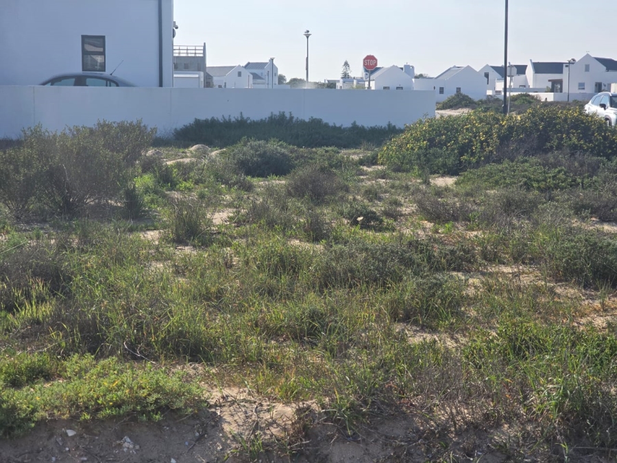 0 Bedroom Property for Sale in Atlantic Waves Estate Western Cape